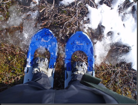myrefjell 09 012