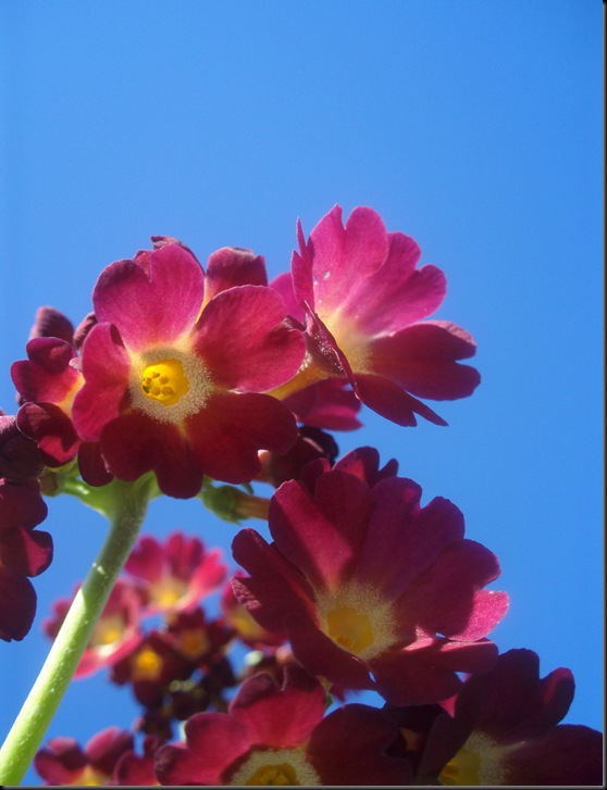 P5310007
