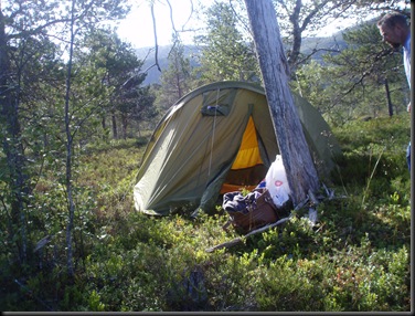 svartisen 015
