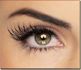 cejas (1)
