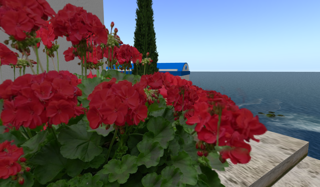 [Snapshot_678[4].png]