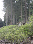 http://lh5.ggpht.com/_429O-23W9gQ/Ta7sRVFF5aI/AAAAAAAAATI/PUuMqDjiA9g/Vielsalm2011%20056.jpg