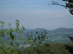 http://lh5.ggpht.com/_429O-23W9gQ/TckH-BtzWZI/AAAAAAAAAjE/5967FFX4W58/VosgesEte2011%20053.JPG