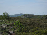 http://lh5.ggpht.com/_429O-23W9gQ/TckI8_vkOfI/AAAAAAAAAlQ/rmCacYdOkkM/VosgesEte2011%20114.JPG