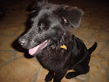 DSC03590.JPG