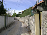 DSC00042.JPG