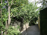 DSC00045.JPG