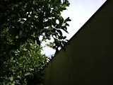 DSC00047.JPG
