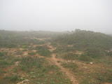 IMG_3631.jpg