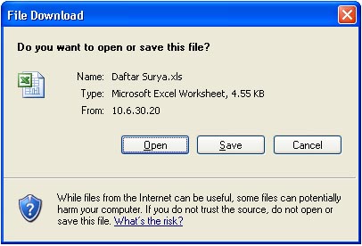 Download Excel
