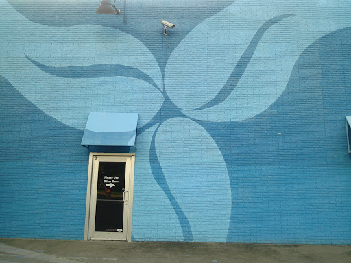 Blue Leaves Mural