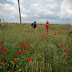 Komand (2 of 29).jpg