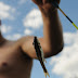 fish1.JPG