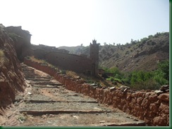 SAM_2237 SAM_2237