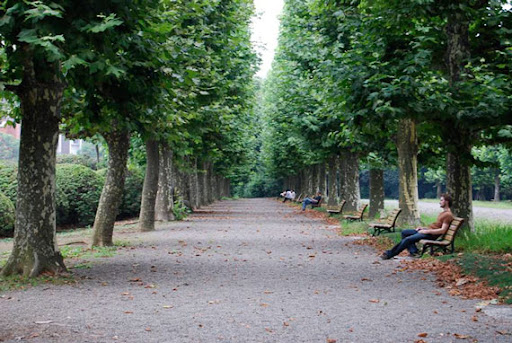 Max in a French Garden