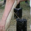 IMG_9220-1.JPG