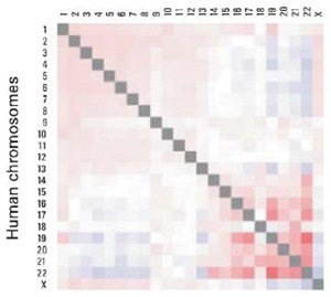 [probability_contact1[10].jpg]