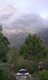 IMGP2906.JPG