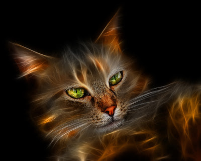 [digitalcat.jpg]