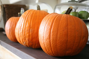[pumpkin1[4].jpg]
