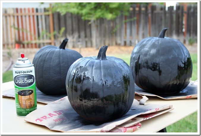 pumpkin3
