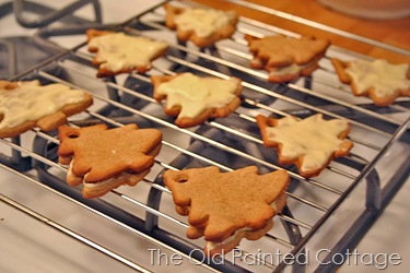 [cookie82.jpg]