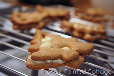 [cookie92.jpg]