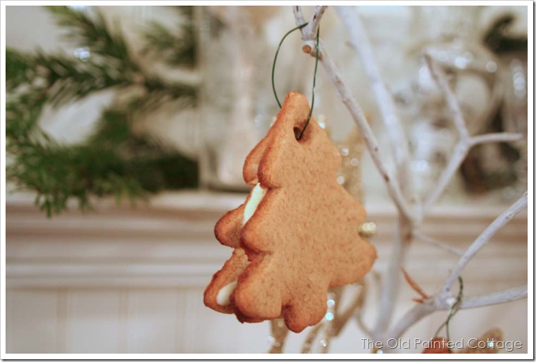 cookie14