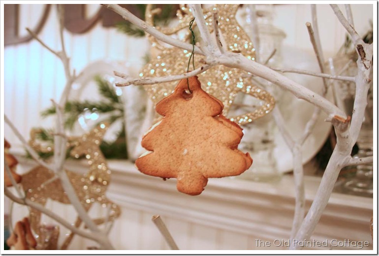 cookie16
