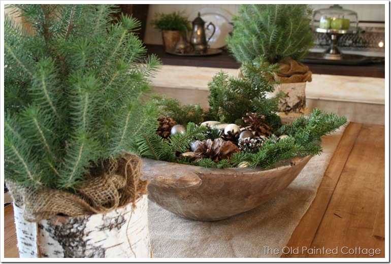 pine7