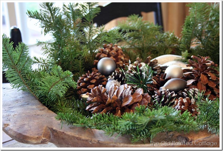 pine5