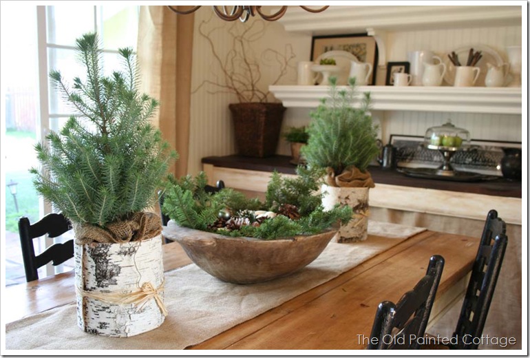 pine8