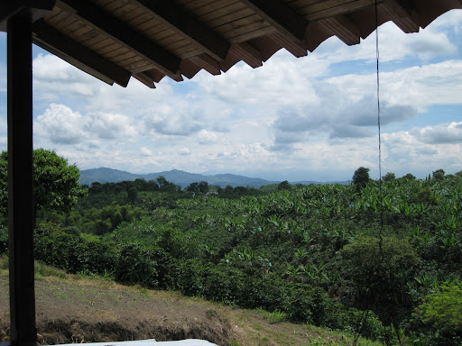 quindio