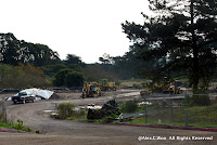 Behind the Letterman Hospital Photo