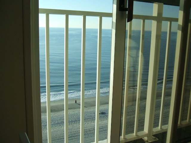 View from bed.. when this is the first thing you see in the morning you know the day will be great