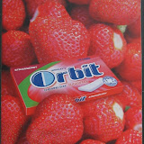 Orbit braske 03.jpg Orbit braske 03.jpg
