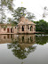 Vrinda Kunda Rainy3.JPG