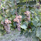 10092007052.jpg