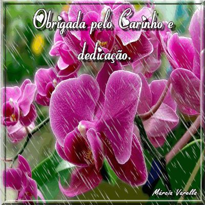 Recado Para Orkut - Amor: 1