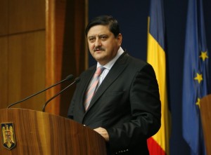 nita 300x221 Ce ar fi putut face guvernul Boc şi nu a făcut