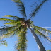 IMG_0150.jpg, Arraial 2009