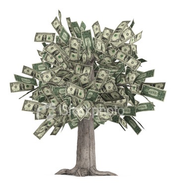[money tree[16].jpg]