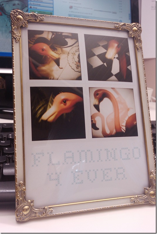 flamingo_gunvor