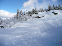 Hurricane Mt- sommet 3629.JPG