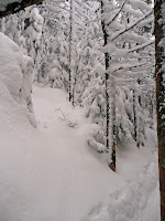 Mt Giant, Roaring Brook 3647.JPG