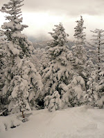 Mt Giant, Roaring Brook 3653.JPG