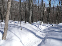 Big Slide Mt 3670.JPG