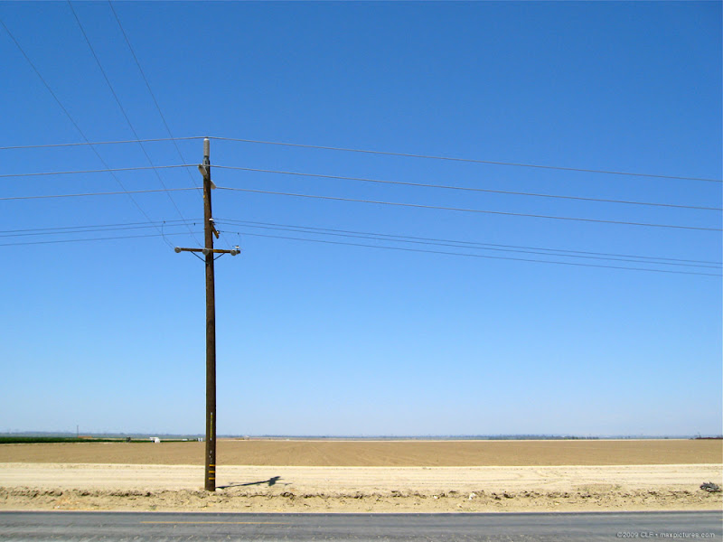 Telephone pole