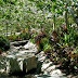 Rocky stream