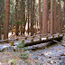 Bridge o'er dry creek